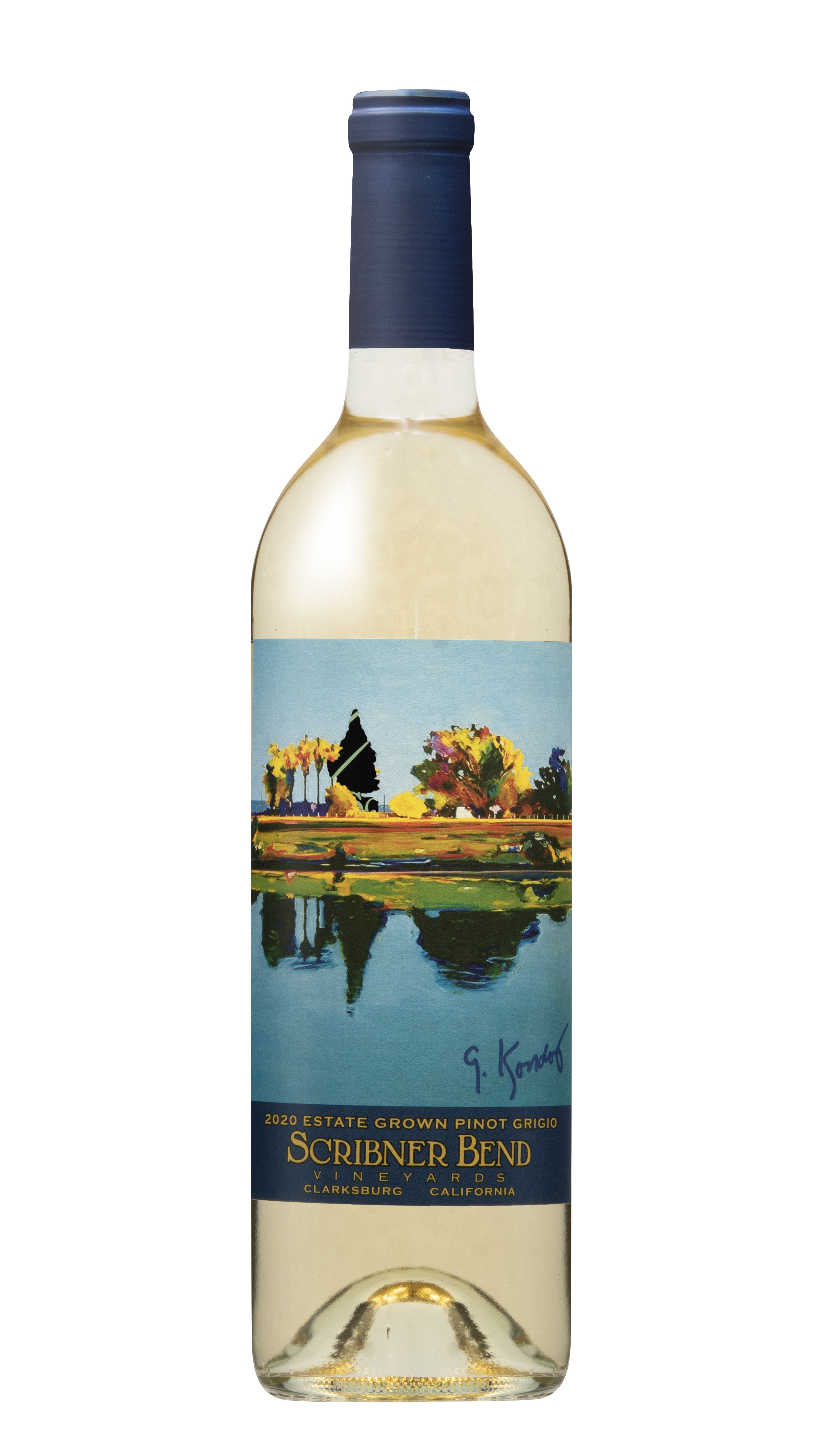 Product Image for 2020 Pinot Grigio