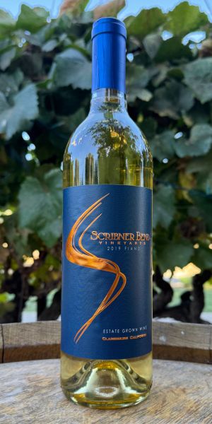 Product Image for 2019 Orange Fiano